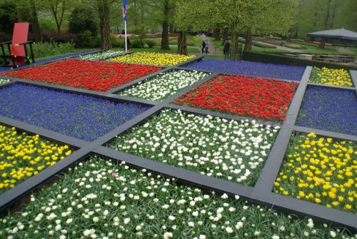 LIF_Amsterdam_Keukenhof.JPG