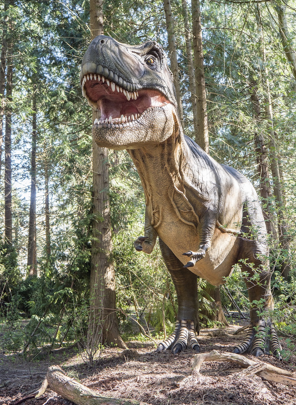 Knuthenborg Safaripark